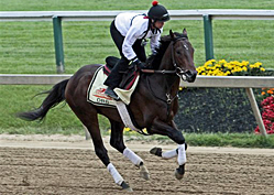 Orb Leads Smallest Field Since 2007