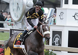 Oxbow Kills Triple Crown Dream